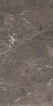 Rex Heritage Luxe Brown Glossy 6 Mm 60x120