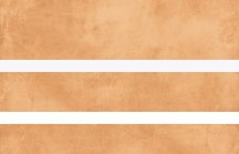 Rondine Industrial Color Chic Turmeric Modulo Rect 30x60