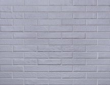 Rondine Urban And Colors Balene T.U. 6x25