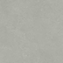 Saloni Time Gris Antid 43x43