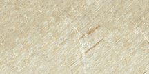 Savoia Italian Stones Cervino R11 21.6x43.5