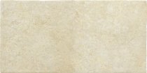 Savoia Tufi Beige R10 21.6x43.5