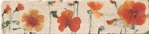 Serenissima Cir Marble Style Listello Style 5x20