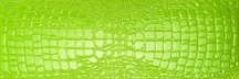 Settecento Crocotiles Green Crocojoy 24x72