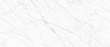 Simpolo Porcelain Carrara Twig 120x278