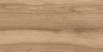 Staro Slim Madera Dark 60x120