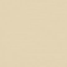 Unitile Pro Monocolor Beige Кг 01 40x40