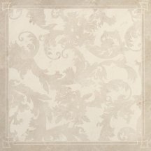 Versace Marble Cassettonato Foglia Bianco 58.5x58.5