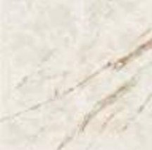 Versace Marble Classico Bianco Lapp 58.5x58.5