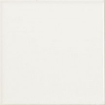 Vilar Arbaro Monocolor Liso Mate Blanco 10x10