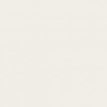 VitrA Color Ral 1009005 Ultra White Matt 20x20
