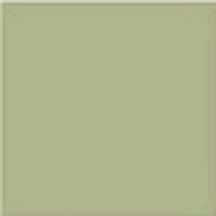 Vives Monocolor Musgo 20x20