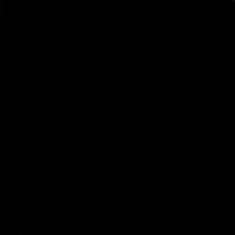 Vives Monocolor Negro 20x20