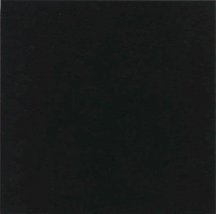 Vives Monocolor Negro 31.6x31.6