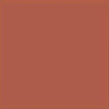 Vives Monocolor Teja 20x20