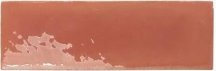 Wow Rebels Terracotta Gloss 5x15