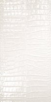 Zien London Queensway White 29.8x59.8