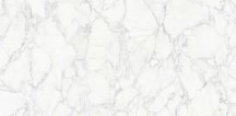 Zodiac Ceramica Porcelain Staturio Venato Gloss 120x240