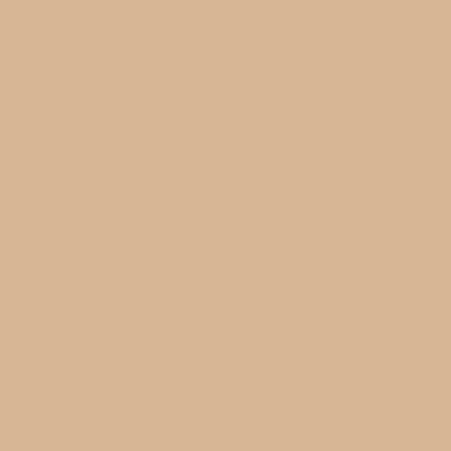 41zero42 Pixel41 19 Nut 11.55x11.55