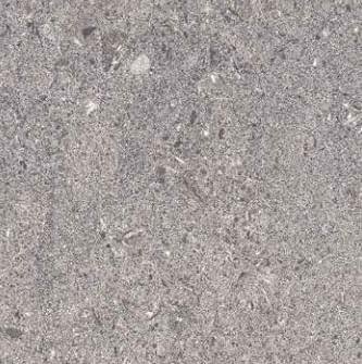 Aleyra Calm Ageless Grey 60x60