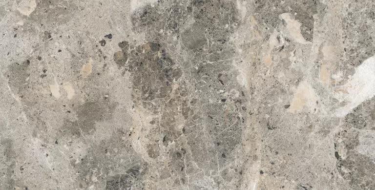 Alpas Euro Premium Marble Alaska Grey Pol 60x120