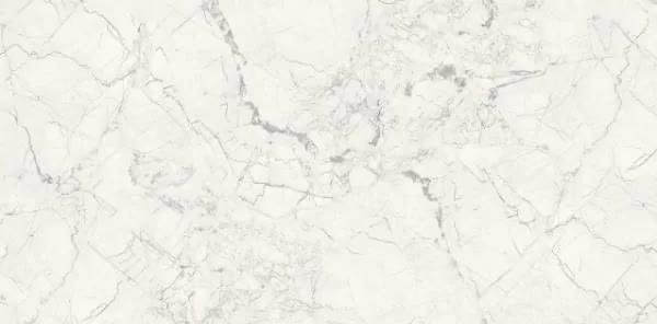 Alpas Euro Premium Marble Breccia Silver Carving 6 mm 60x120