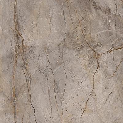 Apavisa Wild Forest Grey Natural Mix 119.3x119.3