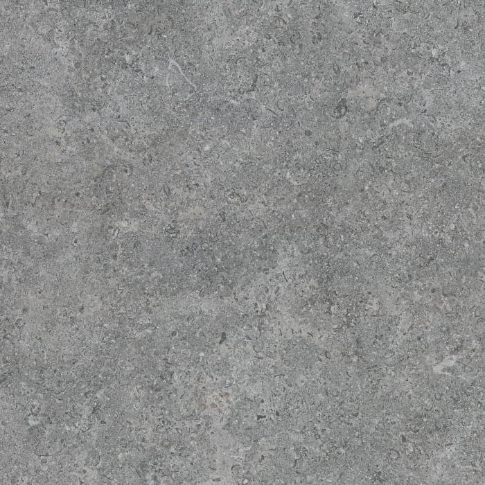 Argenta Etienne Grey RC 60x60