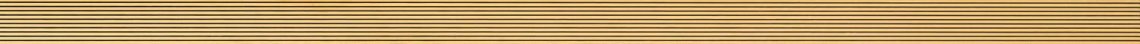 Arte Senza Strip Gold 2.3x74.8