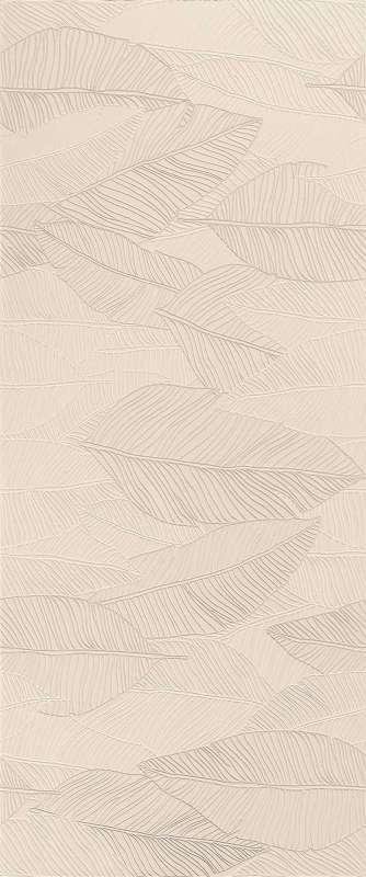 Atlas Concorde Aplomb Cream Leaf Lux 50x120