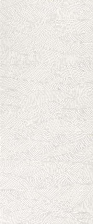 Atlas Concorde Aplomb White Leaf 50x120