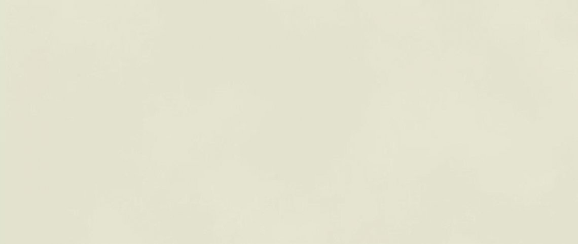 Atlas Concorde Boost Color Salix 50x120