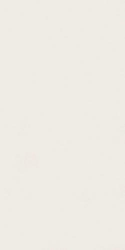 Atlas Concorde Plan Absolute White Silk 12 mm 162x324