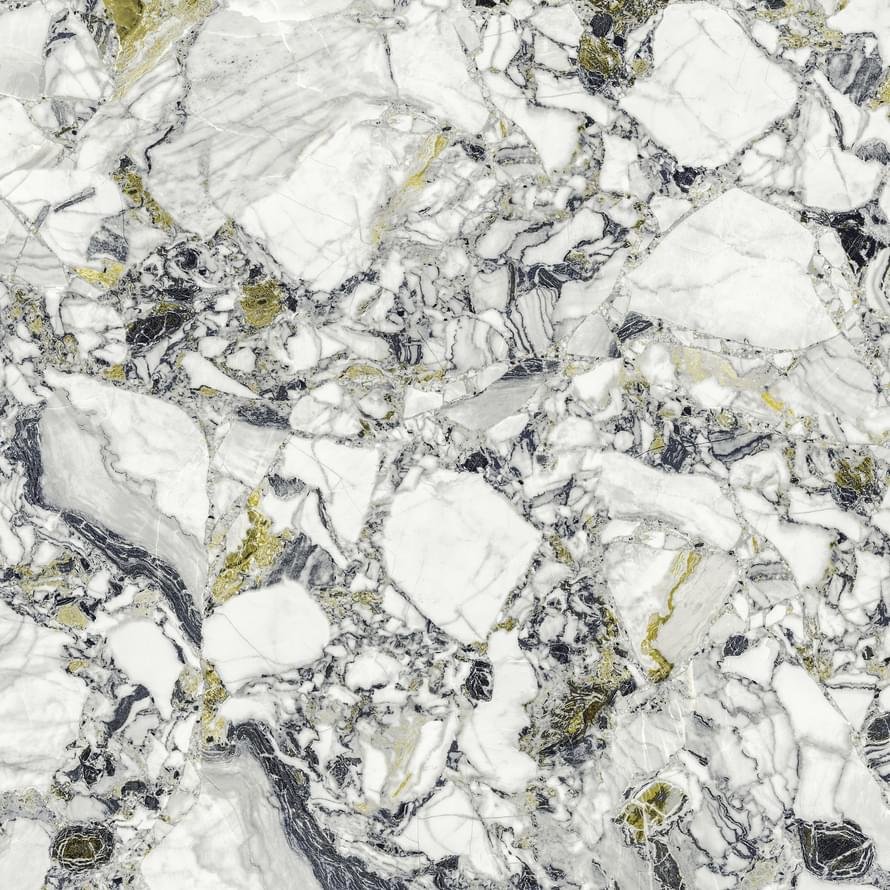 Atlas Concorde Russia Forte Dei Marmi Quark Ceppo Apuano Forest Rett 80x80
