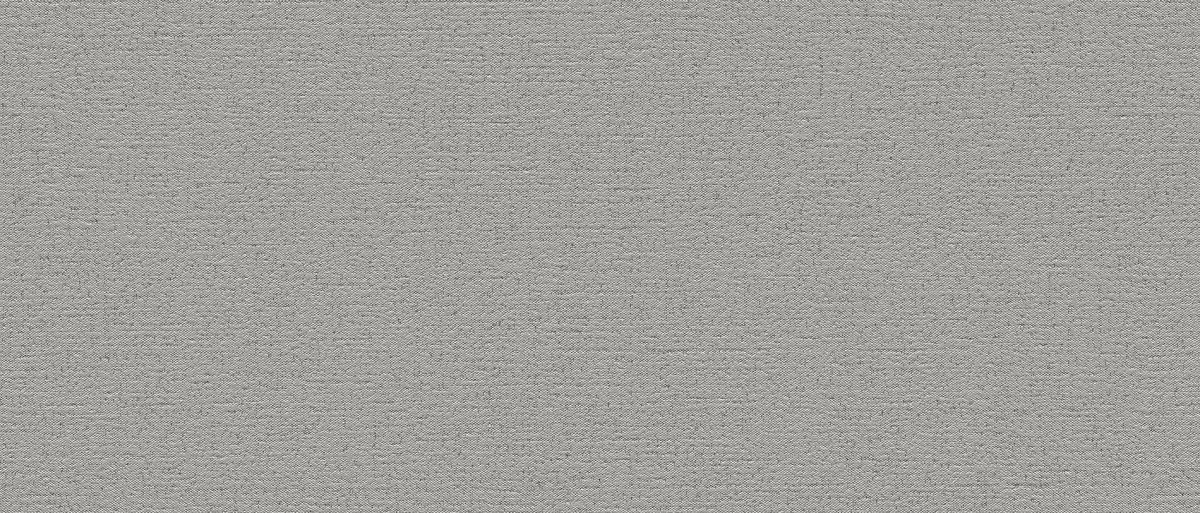 Bassanesi Silk Light Grey 25.4x60.8