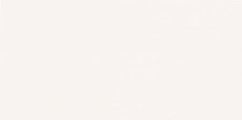 Casalgrande Padana Unicolore Bianco Assoluto Levigato 10 Mm 30x60