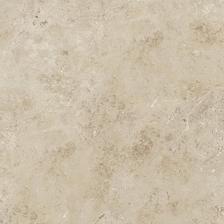 Century Contact Elegance Molata 60x60