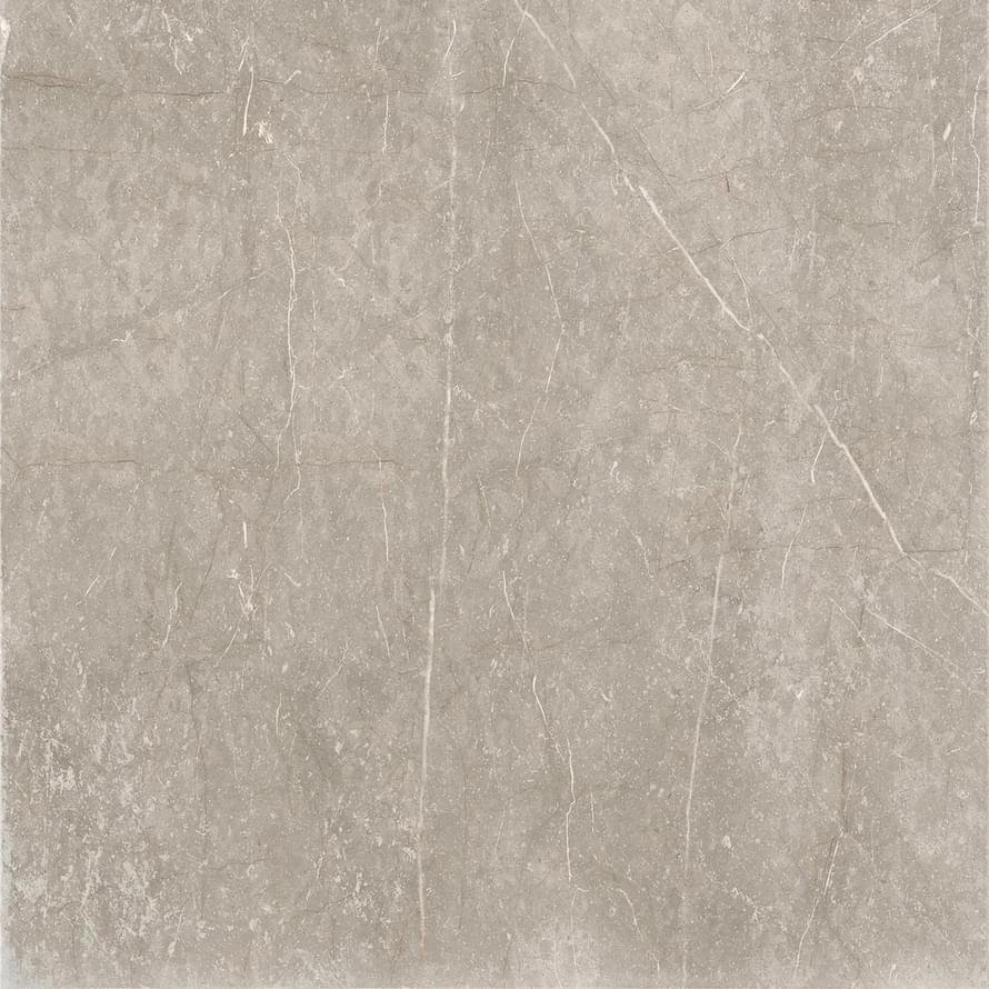 Cerdomus Mexicana Silver 60x60