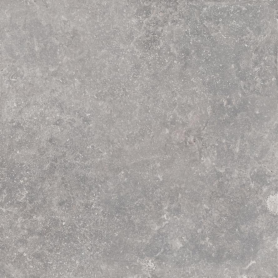 Cerdomus Nordenn Grigio 20x20