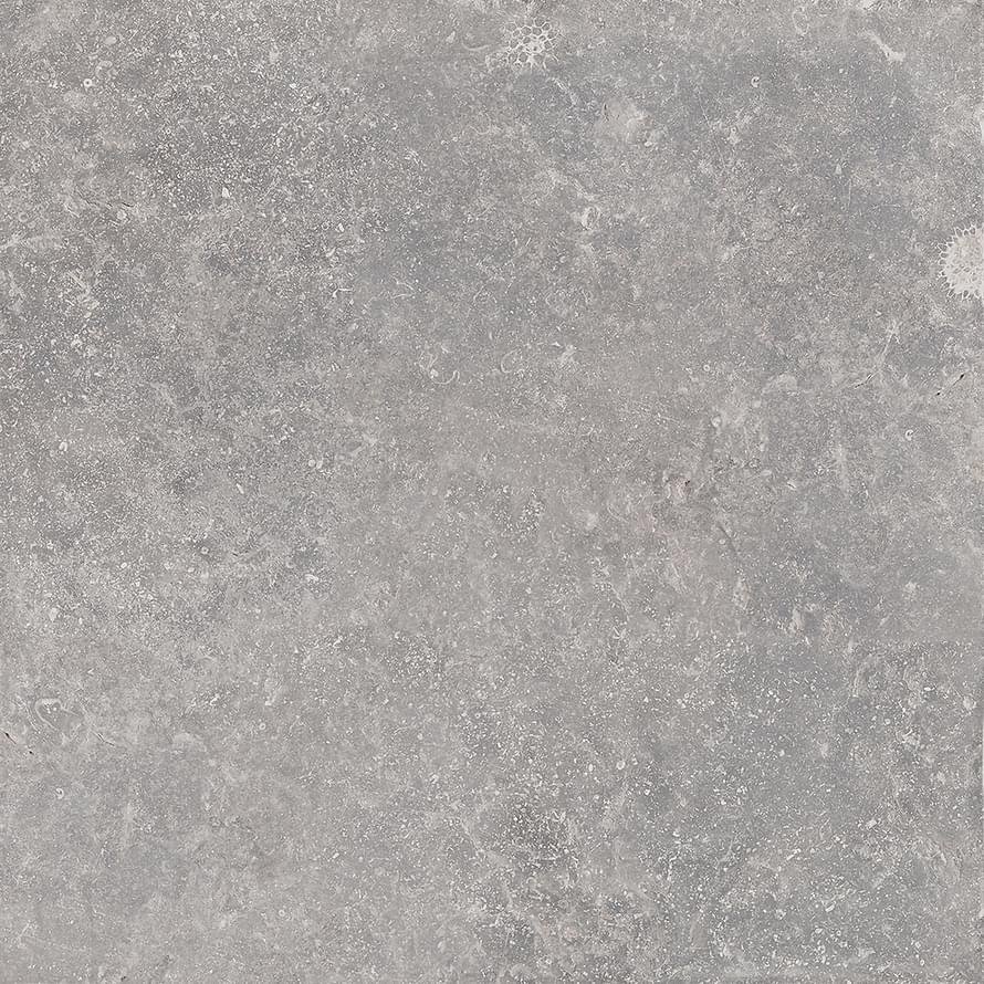 Cerdomus Nordenn Grigio Rettificato Satinato 60x60