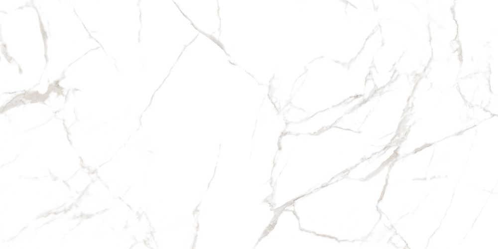 Colortile Noble White 60x120