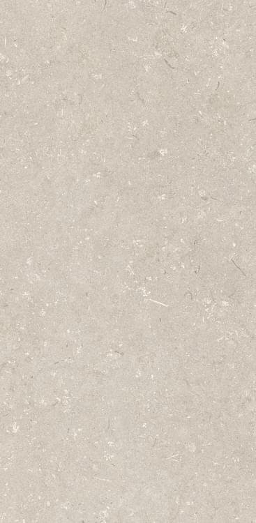 Dado Ceramica Shellstone Beige 60x120