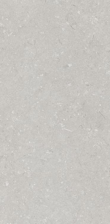 Dado Ceramica Shellstone Bianco 60x120