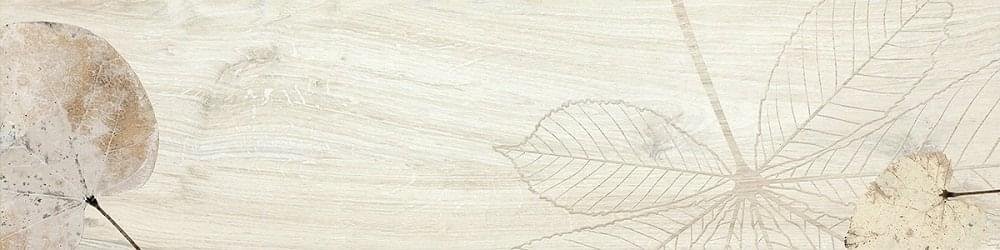 Del Conca Foreste D Italia Foliage Blanco 20x80