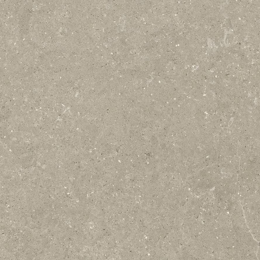 Del Conca Wild 11 Greige Rett Hard 80x80