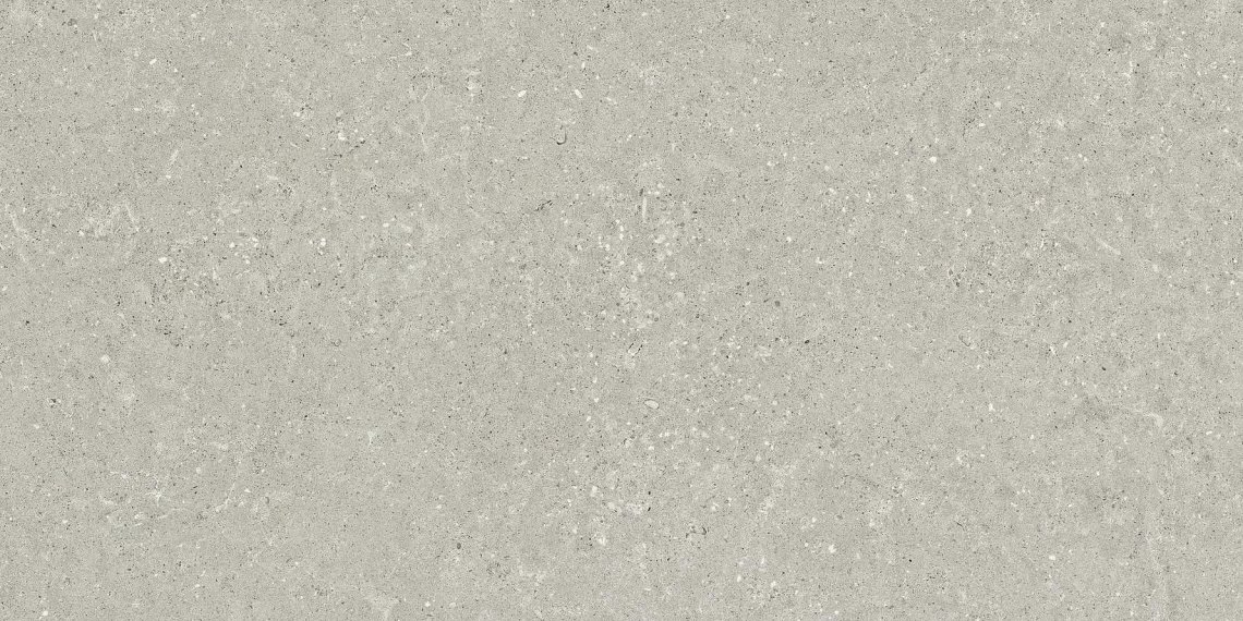 Del Conca Wild Hwd205 Grey 20 mm Spess Rett Hard 60x120