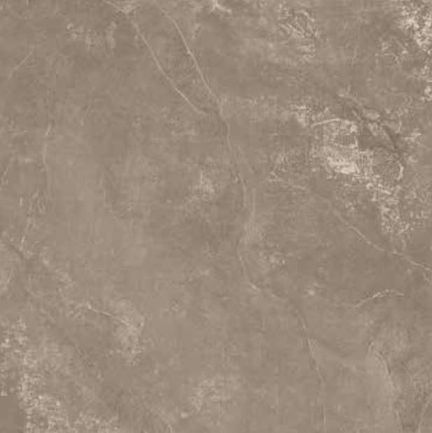 Elios Harmony Taupe 100x100