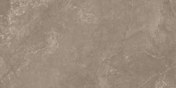 Elios Harmony Taupe 30x60