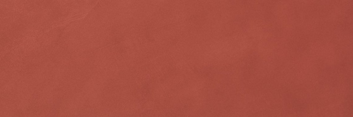 Fap Color Line Marsala 25x75