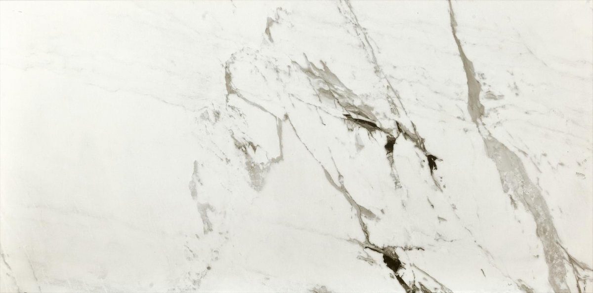 Fioranese Marmorea2 Breccia White Levigato 74x148